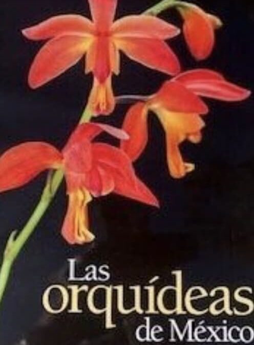Las orquideas de Mexico