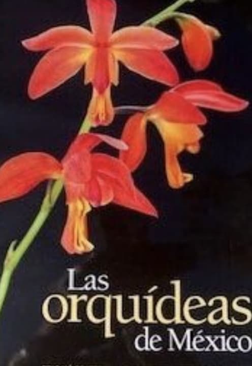 Orquideas de Mexico