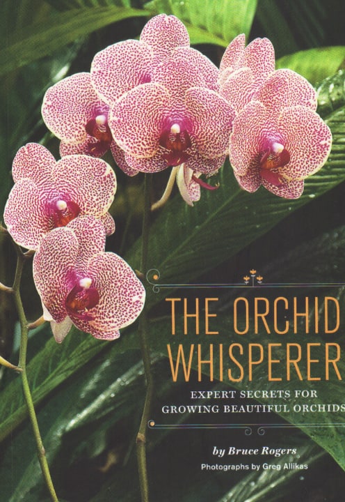 Orchid Whisperer