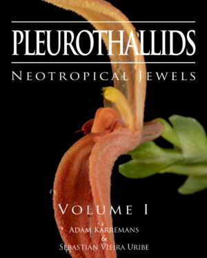 Pleurothallids, Neotropical Jewels