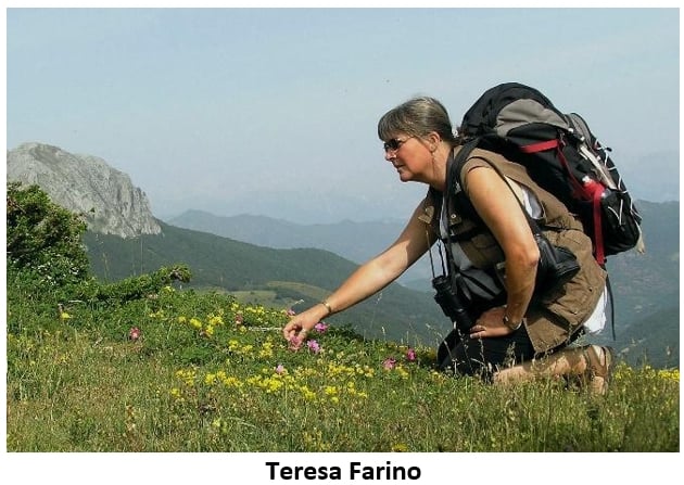 Teresa Farino