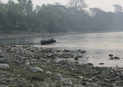 Chitwan