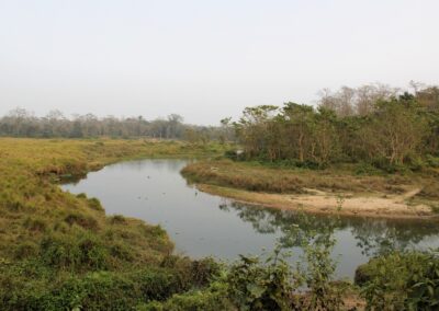 Chitwan