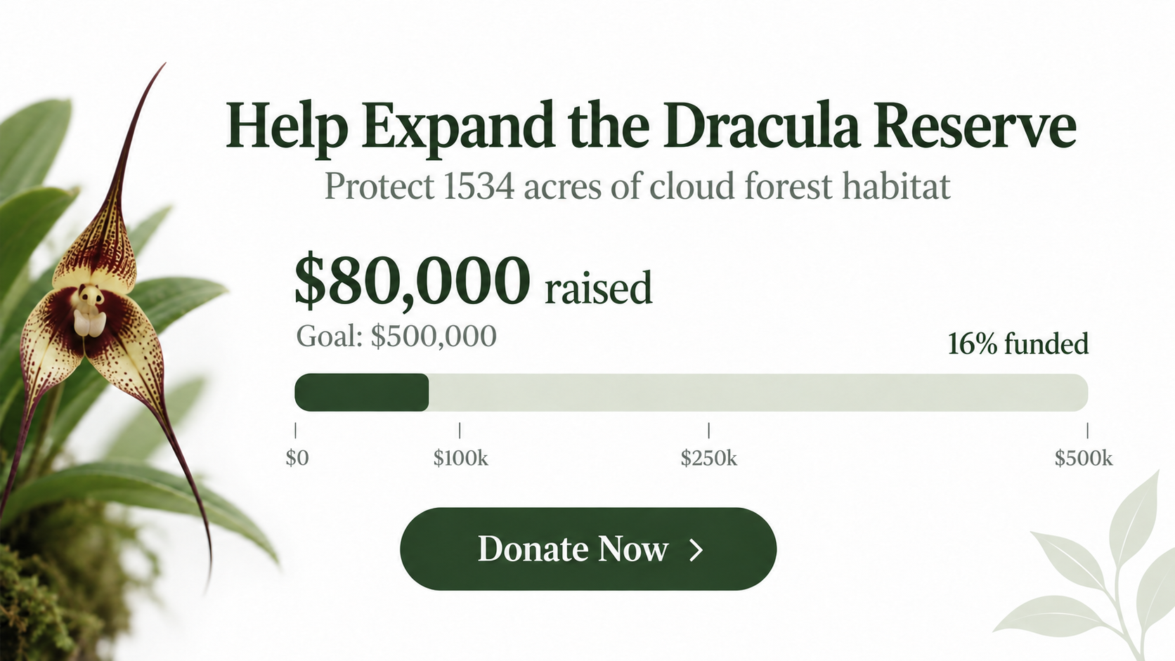 Dracula Reserve Expansion 2026